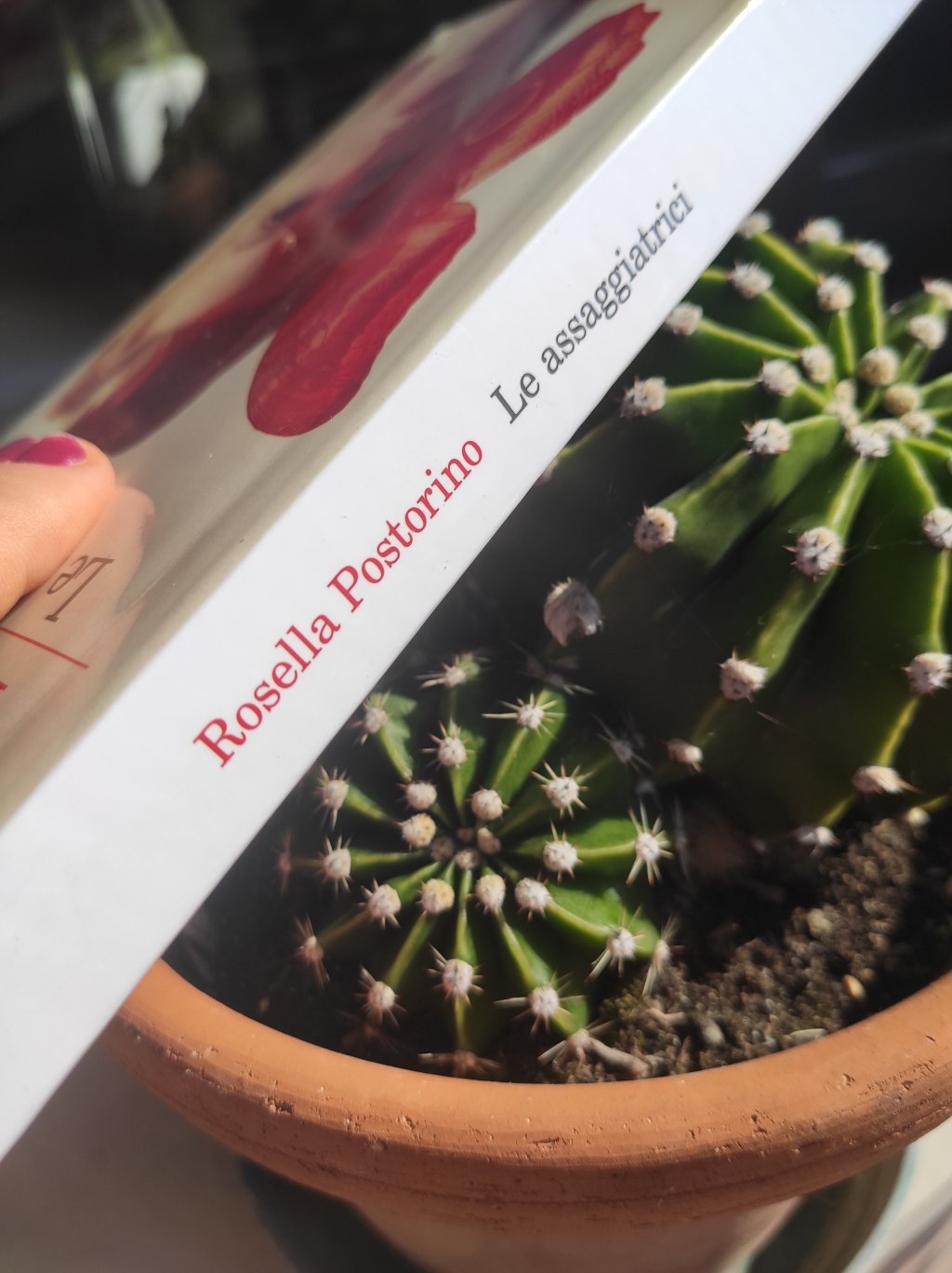 Le assaggiatrici – Rossella Postorino #libri #recensione