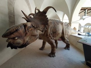 Extinction - Dinosauri in carne e ossa #Gubbio, Monastero di San Benedetto -ph Amalia Temperini