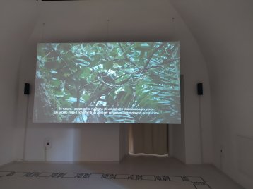 Allora & Calzadilla, The Great Silence (Frame da video) 2016,- Museo MAXXI L'Aquila - ph. Amalia Temperini