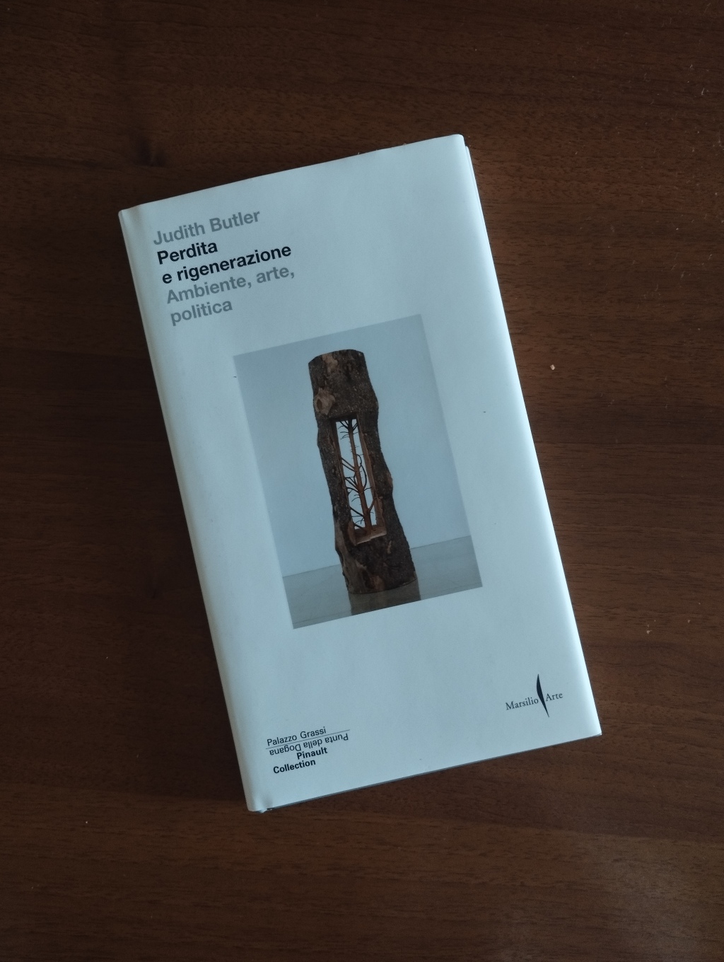 #Libri: Perdita e rigenerazione. Ambiente, arte e politica di Judith Butler, Marsilio Arte, 2023